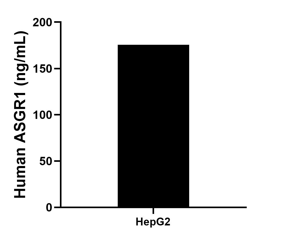 The mean human ASGR1 concentration was determined to be 175.6 ng/mL in HepG2 cell extract based on a 3.7 mg/mL extract load.